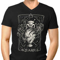 Aquarius (Edu.Ely) Men's V-Neck - Adult & Kids T-Shirts, Sweatshirts & Hoodies apparel design preview 1