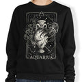 Aquarius (Edu.Ely) - Adult & Kids T-Shirts, Sweatshirts & Hoodies apparel design preview 1