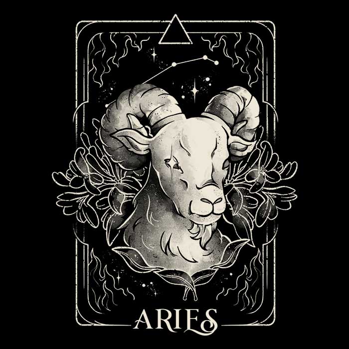 Aries (Edu.Ely) Men's Apparel - Adult & Kids T-Shirts, Sweatshirts & Hoodies apparel design preview 2