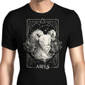 Aries (Edu.Ely) Men's Apparel - Adult & Kids T-Shirts, Sweatshirts & Hoodies apparel design preview 1