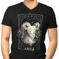 Aries (Edu.Ely) Men's V-Neck - Adult & Kids T-Shirts, Sweatshirts & Hoodies apparel design preview 1