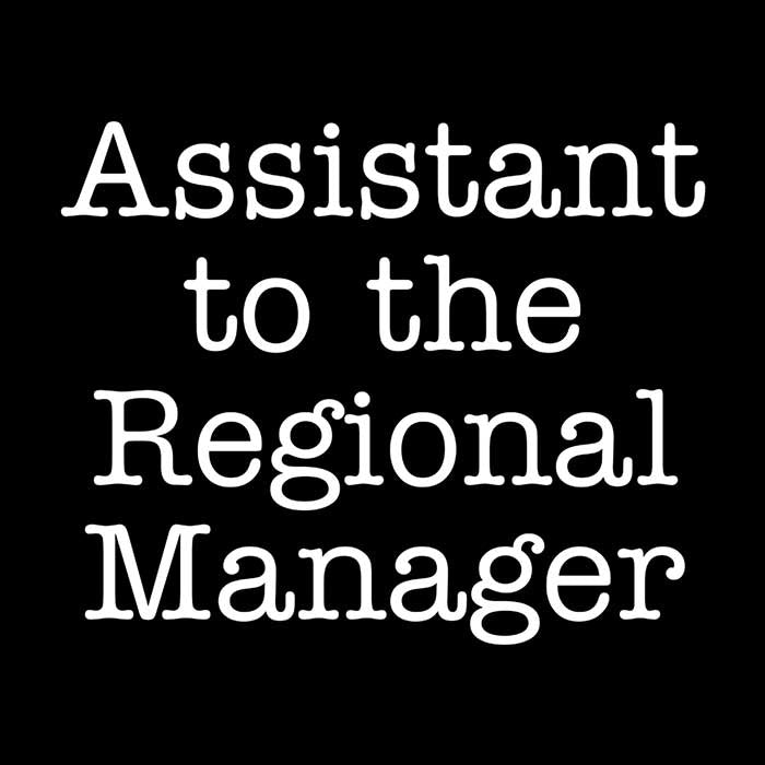 Assistant to the Regional Manager Men's Apparel - Adult & Kids T-Shirts, Sweatshirts & Hoodies apparel design preview 2