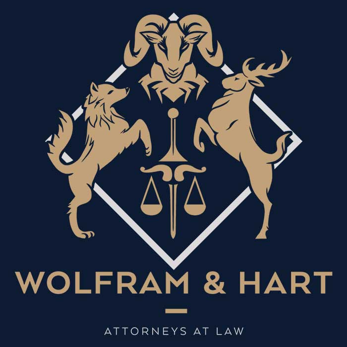Attorneys at Law Youth Apparel - Adult & Kids T-Shirts, Sweatshirts & Hoodies apparel design preview 2
