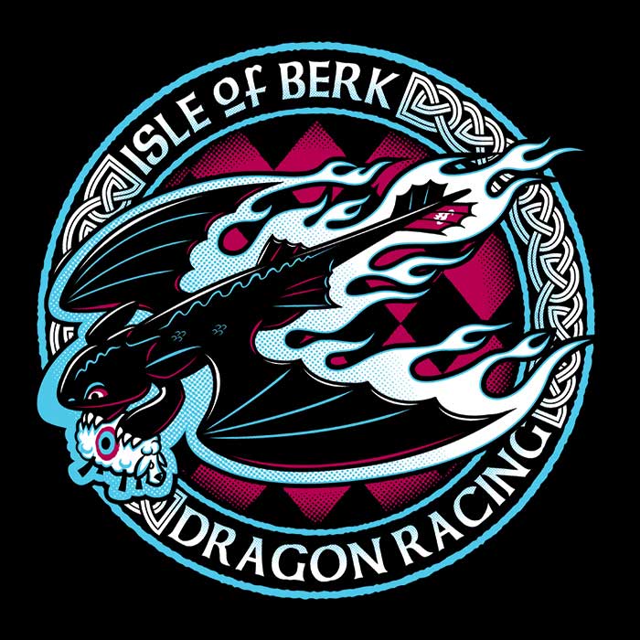 Berk Dragon Racing Coasters - Adult & Kids T-Shirts, Sweatshirts & Hoodies apparel design preview 1