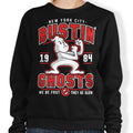 Bustin' Ghosts - Adult & Kids T-Shirts, Sweatshirts & Hoodies apparel design preview 1