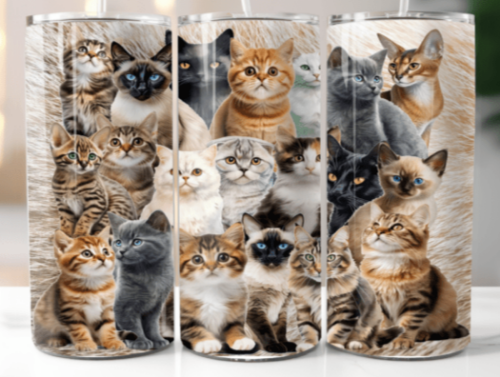 Cats and Kittens 20 oz Skinny Tumbler Cup With Straw - Adult & Kids T-Shirts, Sweatshirts & Hoodies apparel design preview 1