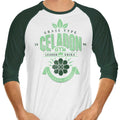 Celadon City Gym 3/4 Sleeve Raglan - Adult & Kids T-Shirts, Sweatshirts & Hoodies apparel design preview 1