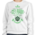 Celadon City Gym - Adult & Kids T-Shirts, Sweatshirts & Hoodies apparel design preview 1