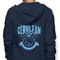 Cerulean City Gym - Adult & Kids T-Shirts, Sweatshirts & Hoodies apparel design preview 1