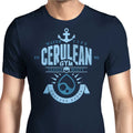 Cerulean City Gym Men's Apparel - Adult & Kids T-Shirts, Sweatshirts & Hoodies apparel design preview 1