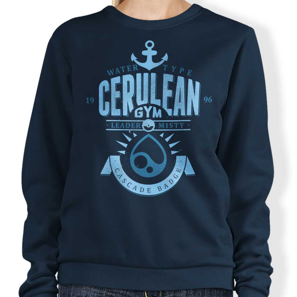 Cerulean City Gym - Adult & Kids T-Shirts, Sweatshirts & Hoodies apparel design preview 1