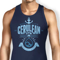 Cerulean City Gym Tank Top - Adult & Kids T-Shirts, Sweatshirts & Hoodies apparel design preview 1