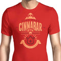 Cinnabar Island Gym Men's Apparel - Adult & Kids T-Shirts, Sweatshirts & Hoodies apparel design preview 1