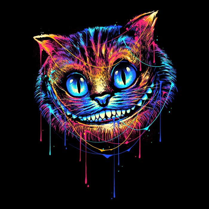 Colorful Cat Men's Apparel - Adult & Kids T-Shirts, Sweatshirts & Hoodies apparel design preview 2