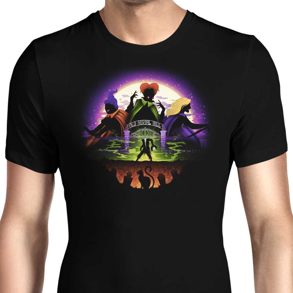 Come, We Fly Men's Apparel - Adult & Kids T-Shirts, Sweatshirts & Hoodies apparel design preview 1