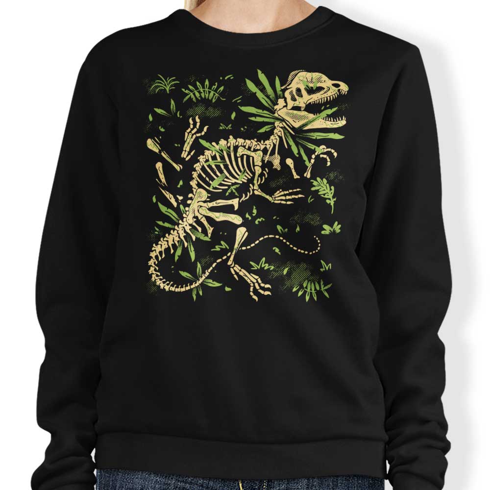 Dilophosaurus Fossils - Adult & Kids T-Shirts, Sweatshirts & Hoodies apparel design preview 1
