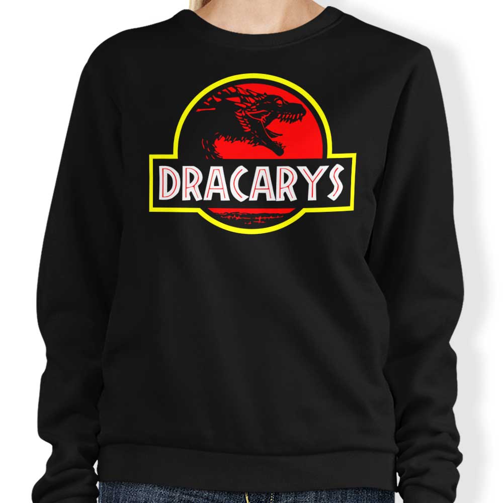 Dracarys Park - Adult & Kids T-Shirts, Sweatshirts & Hoodies apparel design preview 1