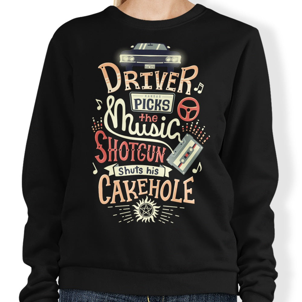 Driver Picks the Music - Adult & Kids T-Shirts, Sweatshirts & Hoodies apparel design preview 1