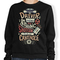 Driver Picks the Music - Adult & Kids T-Shirts, Sweatshirts & Hoodies apparel design preview 1