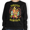 Druid at Your Service - Adult & Kids T-Shirts, Sweatshirts & Hoodies apparel design preview 1