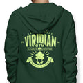 Earth Badge - Adult & Kids T-Shirts, Sweatshirts & Hoodies apparel design preview 1