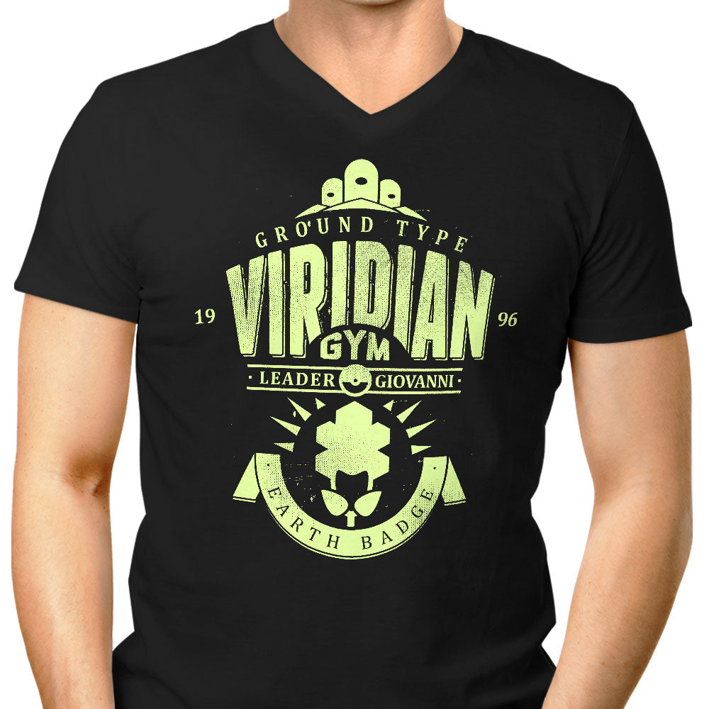 Earth Badge Men's V-Neck - Adult & Kids T-Shirts, Sweatshirts & Hoodies apparel design preview 1