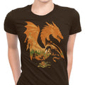 Episode I: Fantasy Flames Women's Apparel - Adult & Kids T-Shirts, Sweatshirts & Hoodies apparel design preview 1