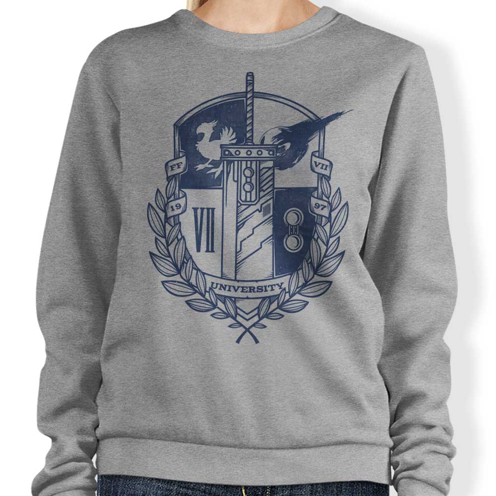 Final University - Adult & Kids T-Shirts, Sweatshirts & Hoodies apparel design preview 1