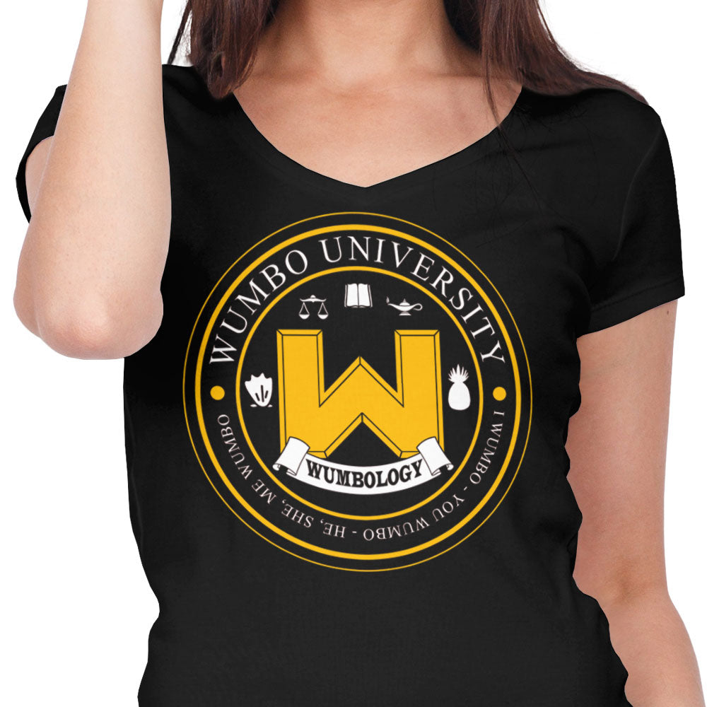 First Grade Stuff Women's V-Neck - Adult & Kids T-Shirts, Sweatshirts & Hoodies apparel design preview 2