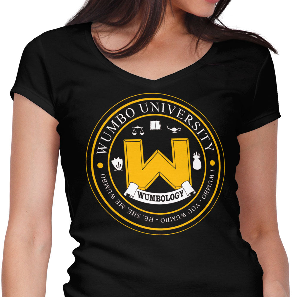 First Grade Stuff Women's V-Neck - Adult & Kids T-Shirts, Sweatshirts & Hoodies apparel design preview 1