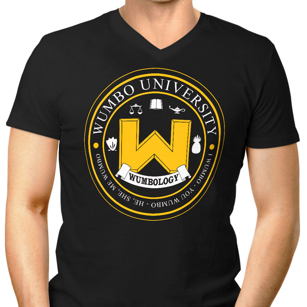 First Grade Stuff Men's V-Neck - Adult & Kids T-Shirts, Sweatshirts & Hoodies apparel design preview 1