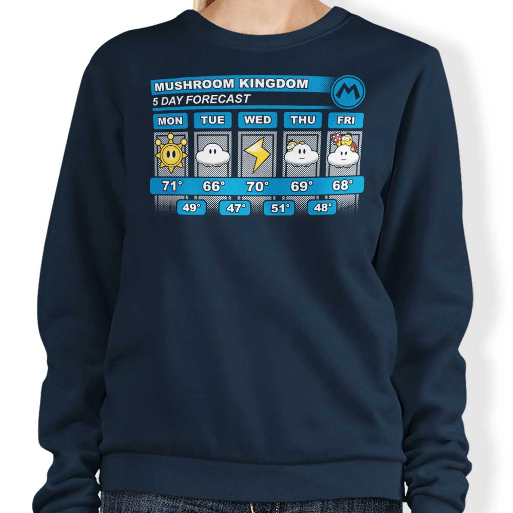 Five Day Forecast - Adult & Kids T-Shirts, Sweatshirts & Hoodies apparel design preview 1
