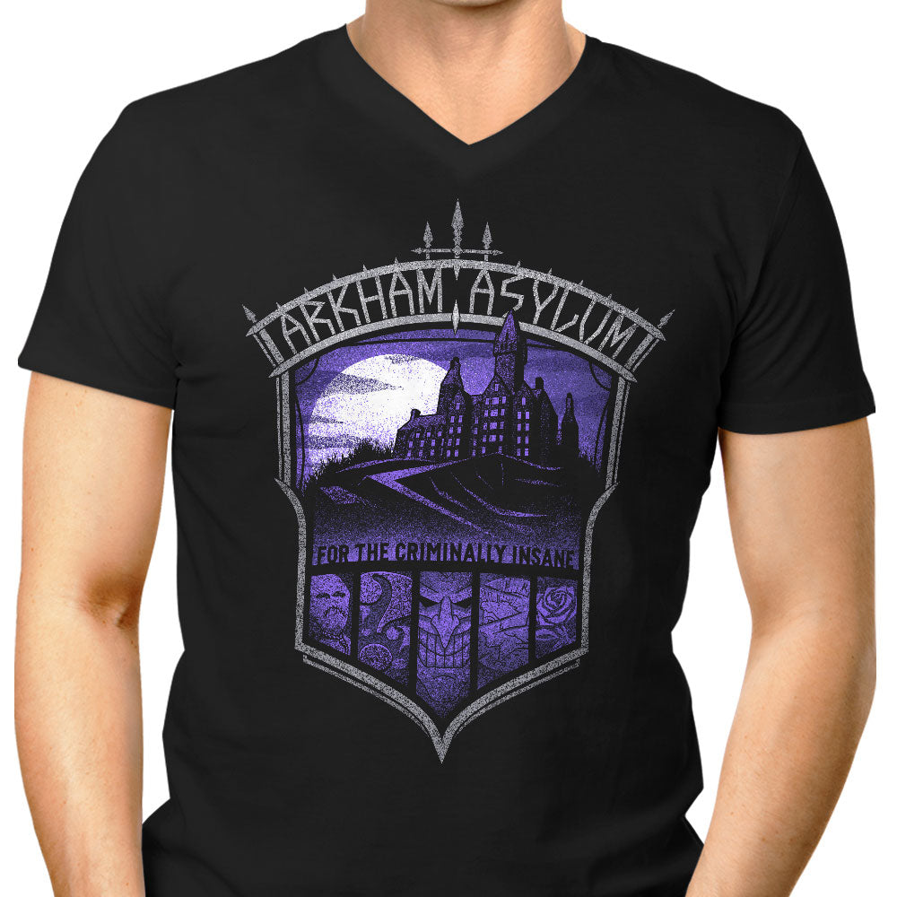 For the Criminally Insane Men's V-Neck - Adult & Kids T-Shirts, Sweatshirts & Hoodies apparel design preview 1
