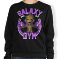 Galaxy Gym - Adult & Kids T-Shirts, Sweatshirts & Hoodies apparel design preview 1