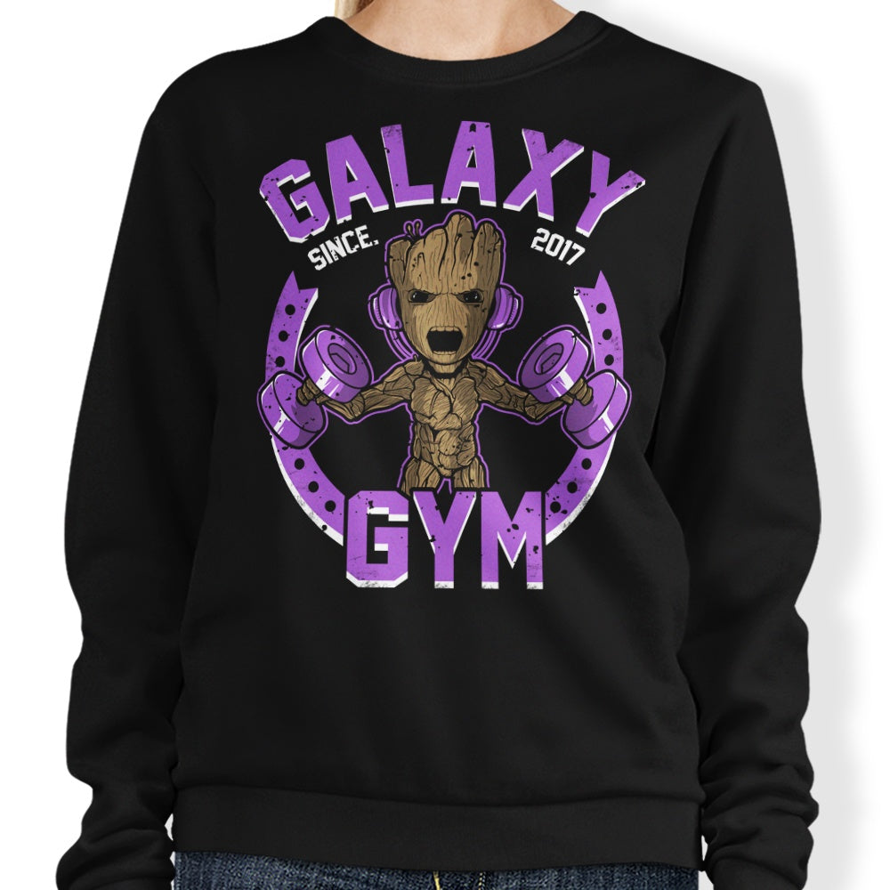 Galaxy Gym - Adult & Kids T-Shirts, Sweatshirts & Hoodies apparel design preview 1