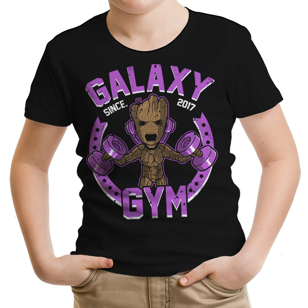 Galaxy Gym Youth Apparel - Adult & Kids T-Shirts, Sweatshirts & Hoodies apparel design preview 1