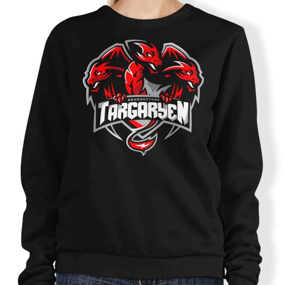 Go Dragons - Adult & Kids T-Shirts, Sweatshirts & Hoodies apparel design preview 1