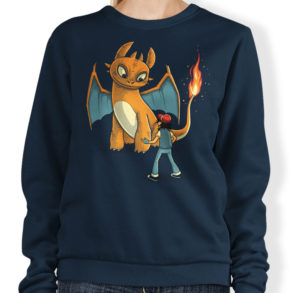 How to Train Your Monster - Adult & Kids T-Shirts, Sweatshirts & Hoodies apparel design preview 1