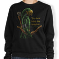Hyrule Vigilante - Adult & Kids T-Shirts, Sweatshirts & Hoodies apparel design preview 1