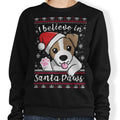 I Believe in Santa Paws - Adult & Kids T-Shirts, Sweatshirts & Hoodies apparel design preview 1