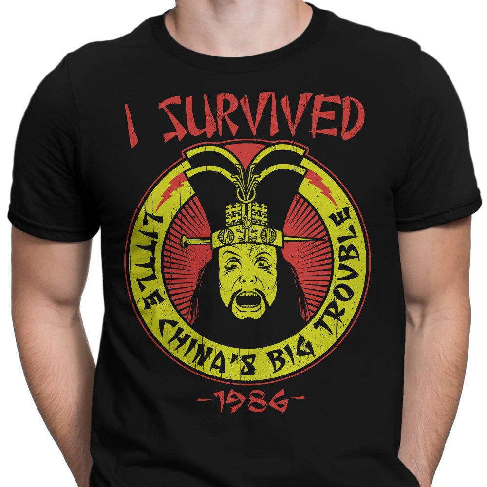 I Survived Little China Men's Apparel - Adult & Kids T-Shirts, Sweatshirts & Hoodies apparel design preview 2