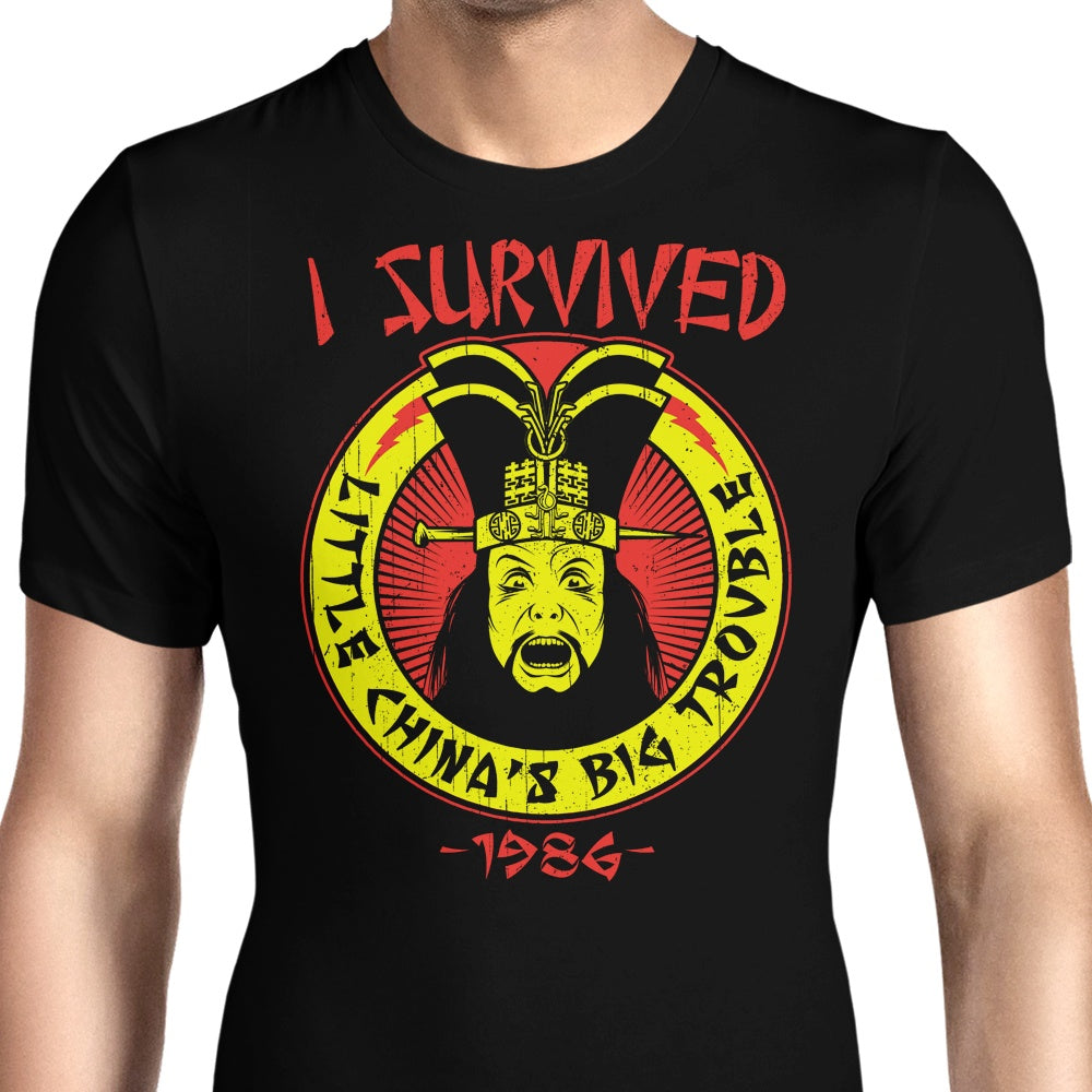 I Survived Little China Men's Apparel - Adult & Kids T-Shirts, Sweatshirts & Hoodies apparel design preview 1