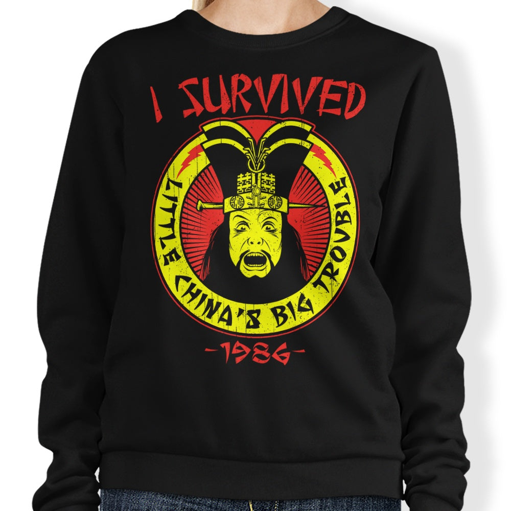 I Survived Little China - Adult & Kids T-Shirts, Sweatshirts & Hoodies apparel design preview 1