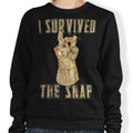I Survived the Decimation - Adult & Kids T-Shirts, Sweatshirts & Hoodies apparel design preview 1