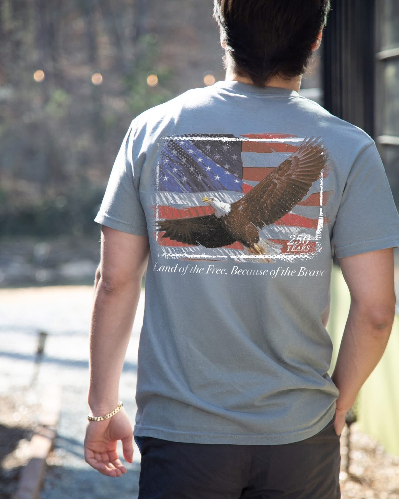 Southernology Rugged South USA Eagle Comfort Colors - Adult & Kids T-Shirts, Sweatshirts & Hoodies apparel design preview 1