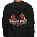 Indiana Park - Adult & Kids T-Shirts, Sweatshirts & Hoodies apparel design preview 1