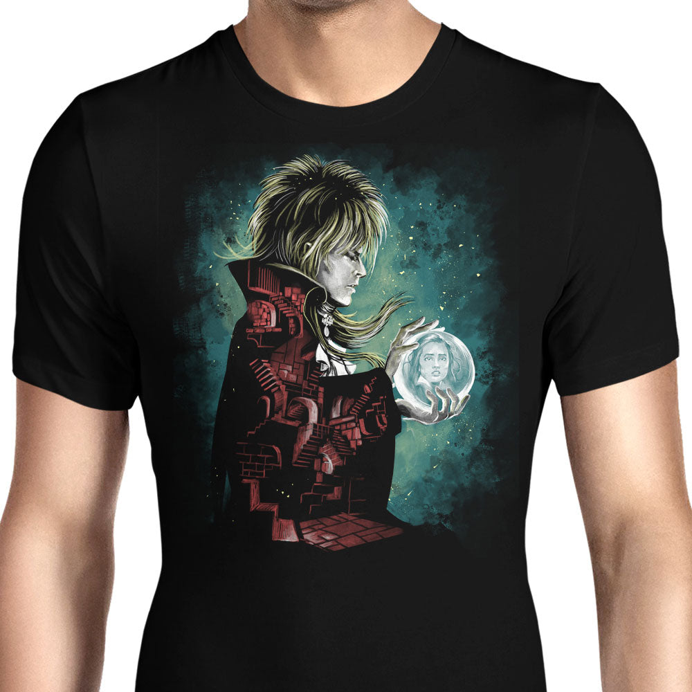 Inside the Labyrinth Men's Apparel - Adult & Kids T-Shirts, Sweatshirts & Hoodies apparel design preview 1
