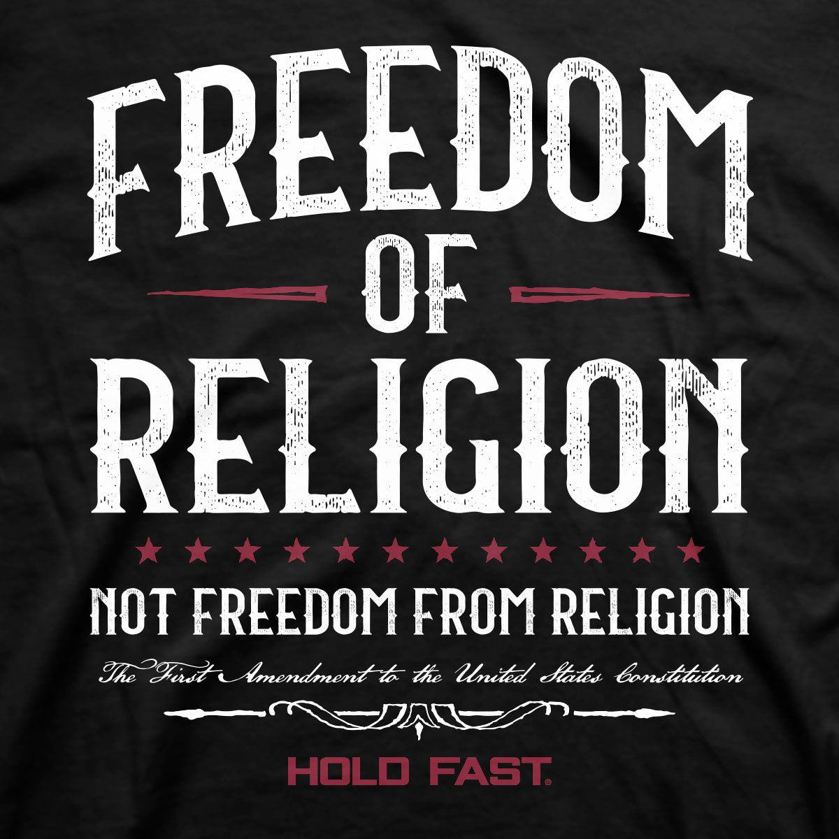 Hold Fast USA Religious Freedom Christian - Adult & Kids T-Shirts, Sweatshirts & Hoodies apparel design preview 2