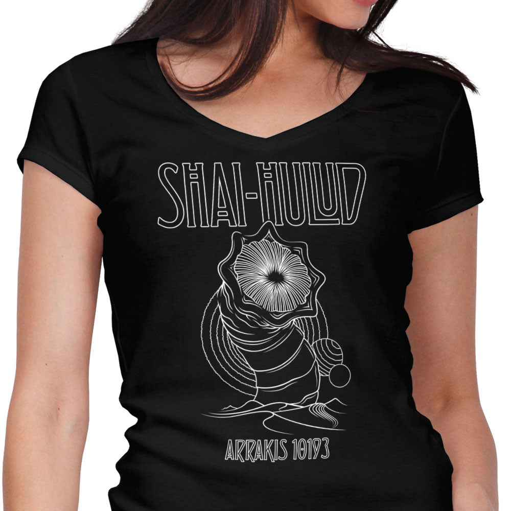 Kashmir Women's V-Neck - Adult & Kids T-Shirts, Sweatshirts & Hoodies apparel design preview 1