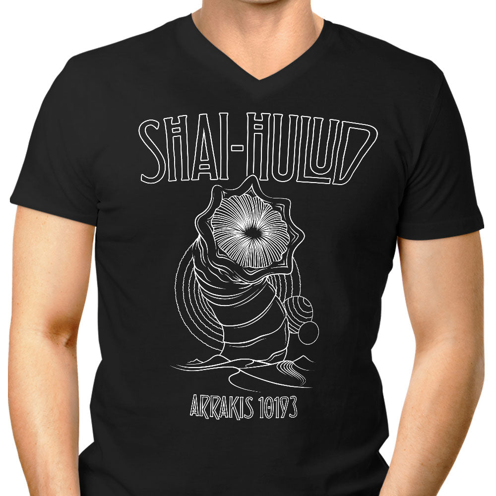 Kashmir Men's V-Neck - Adult & Kids T-Shirts, Sweatshirts & Hoodies apparel design preview 1